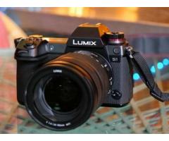 Panasonic S1 + Lumix S 24-105mm f/4