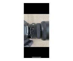 Canon 7D + Sigma 30 1.4. Art