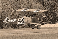 FOKKER DR1 CI