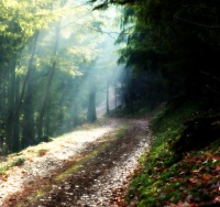 Le sentier