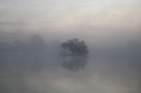 Brume