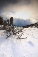 Arrivée de la tempête