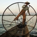 Pêcheur du lac Inle (Birmanie)
