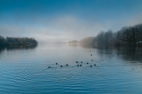 au bord du lac 