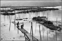 paysages indonésiens 