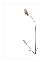 JMG10532-1x