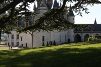 Chateau d'Amboise