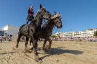 Festival d'Art Équestre