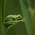 IMG 7671