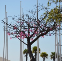 DSC 0349 (2)