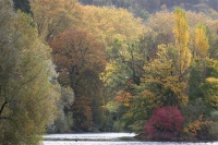 lightroom (1 sur 1)-24 (1)