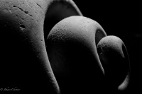 PA040064