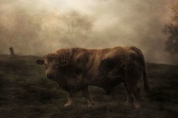 Sa Majesté du Pré