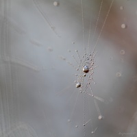 Perles sur toile
