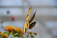 C80A4749-DAEA-48EA-BD04-92D696DDF361