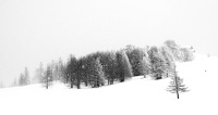 C'est l'hiver !