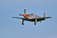 P51 Mustang