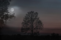 Pleine lune