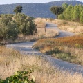 Route de garrigue