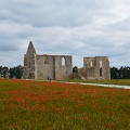 Abbaye en ruine et ses coquelicots...