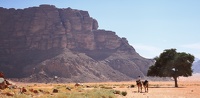 Wadi Rum
