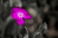 une touche de couleur
