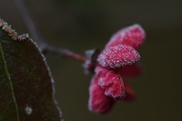 DSC 82590