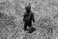 Uros Titino - Pérou