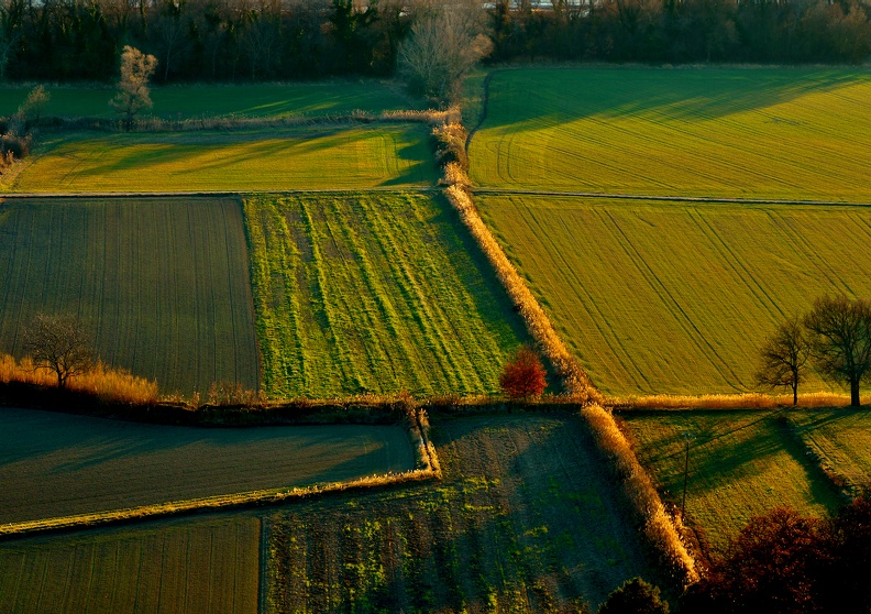 Lumix S5ii 70-300mm au 188mm f8 1/160
Pris au soleil couchant contre jour, vue de haut Champs au coucher.jpeg