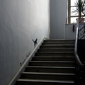 Le saut