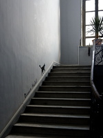 Le saut