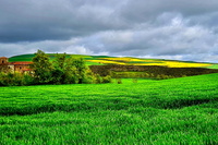 Paysage fertile