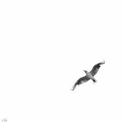 Plénitude