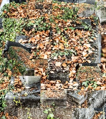 IMG 20211101 160136