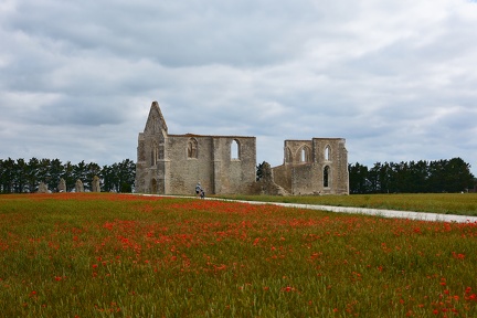 Abbaye en ruine et ses coquelicots...