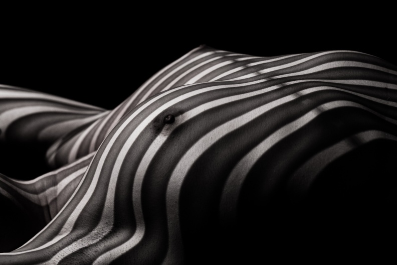 Leya - Zebra nude-003.jpg