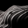 Leya - Zebra nude-003