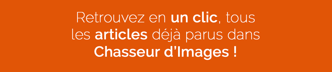 header-page-index-enligne2
