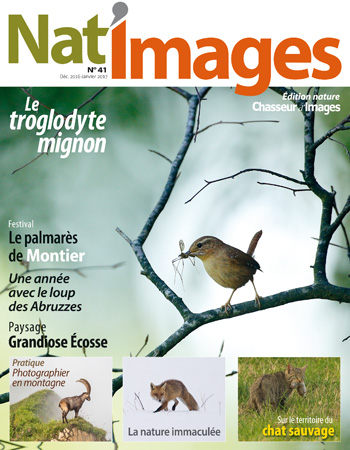 Nat’Images n° 41