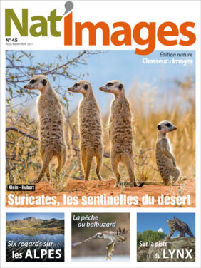 Nat’Images n° 45