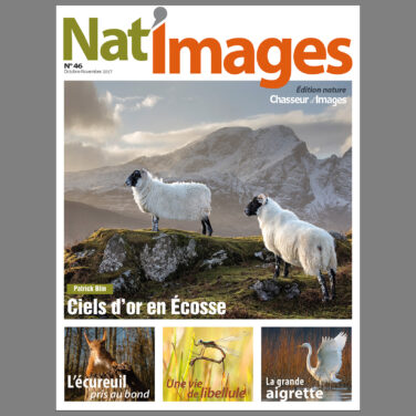 Nat’Images n° 46