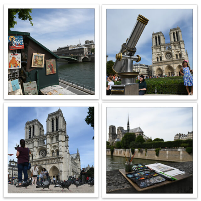 Défi 408 – Une histoire en 4 photos
