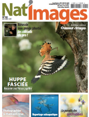 Nat’Images n° 50