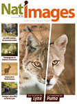 Nat’Images n°52