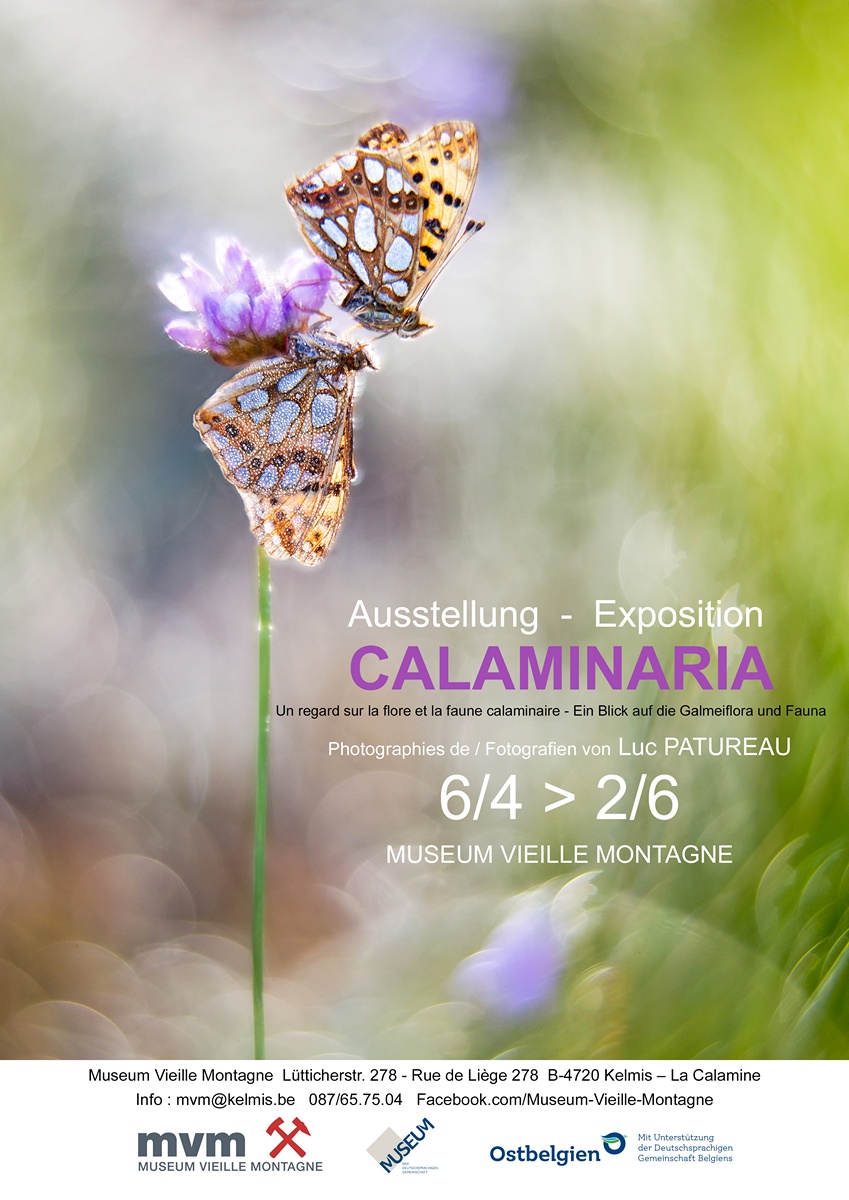 Calaminaria