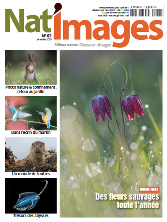 Nat’Images n°62