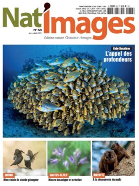 Nat’Images n°68