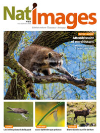 Nat’Images 81