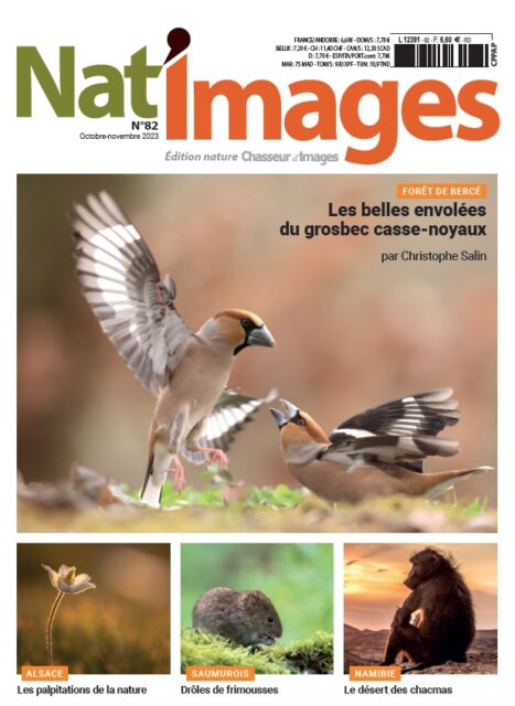 Nat’Images 82 octobre-novembre 2023