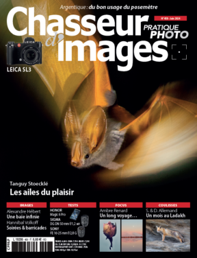 Chasseur d’Images #ci458